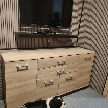U Lesa Apartament *